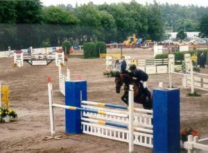 gpfinaali2001_anskuhuhtaniska2