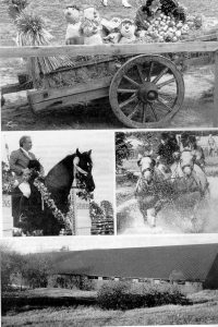 historia_kuvakooste_creinokivisto
